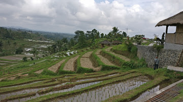 Villa dijual di Jatiluwih Bali