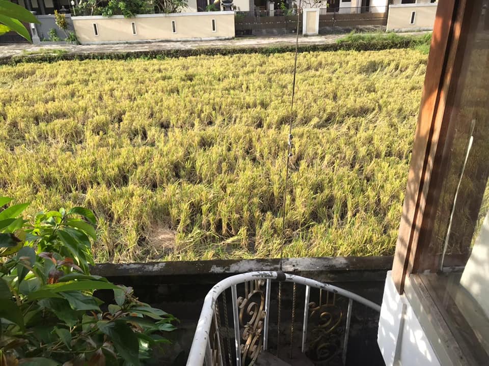 Villa dijual di Kerobokan Bali