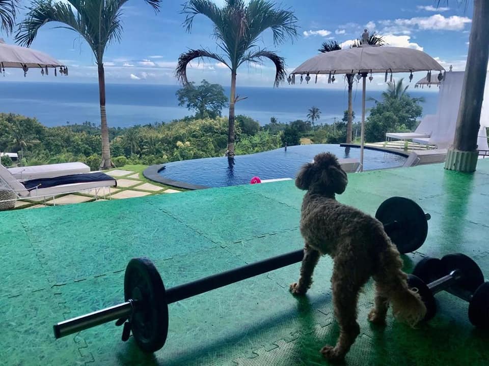 Villa dijual di Lovina Bali